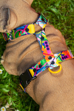 Kaleidogscope HARNESS - Mind The Fluff