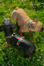 Kaleidogscope HARNESS - Mind The Fluff