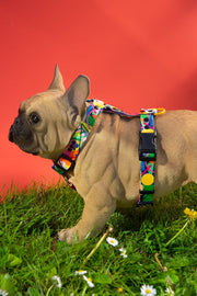 Kaleidogscope HARNESS - Mind The Fluff