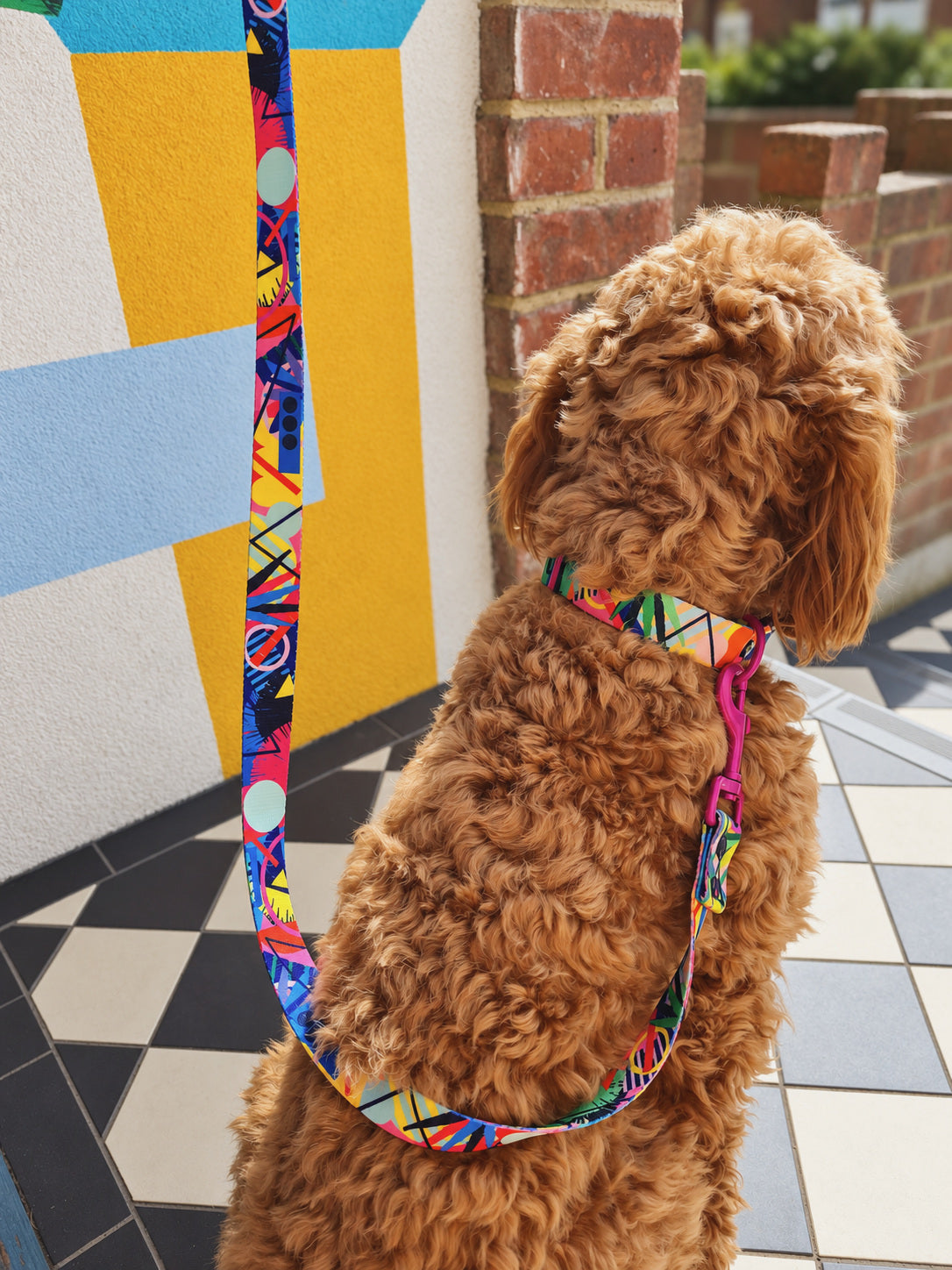 Kaleidogscope Dog Lead