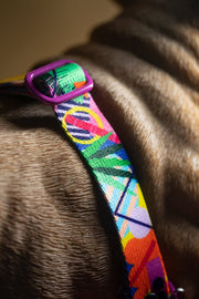 Kaleidogscope SEATBELT - Mind The Fluff