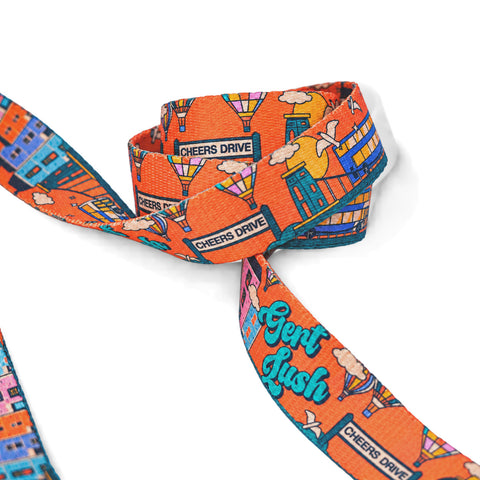 Cheers Drive hands-free dog lead