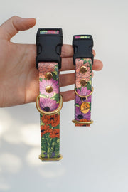 Let It Grow COLLAR - Mind The Fluff