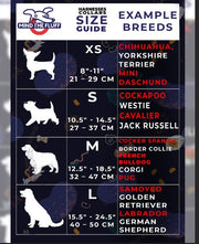 Let It Grow HARNESS - Mind The Fluff