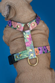 Let It Grow HARNESS - Mind The Fluff