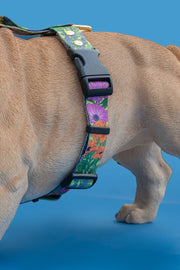 Let It Grow HARNESS - Mind The Fluff