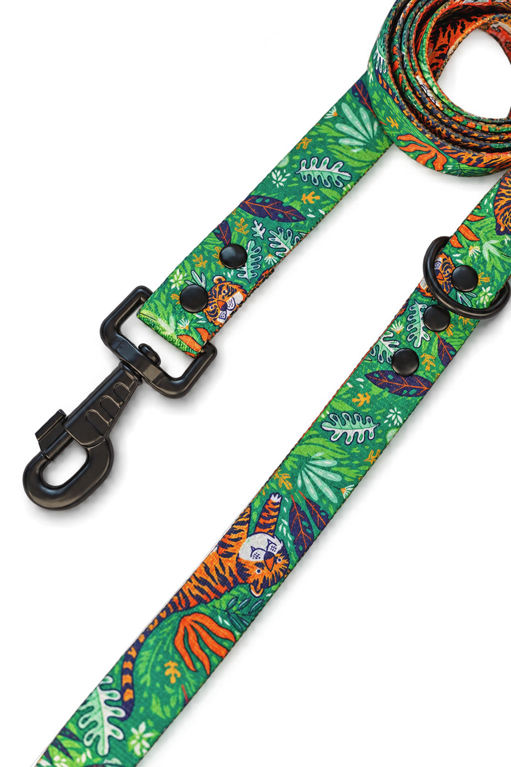 Let's Get Wild! Dog Lead
