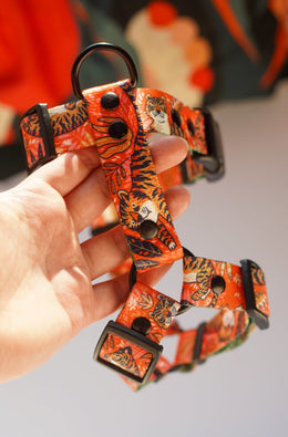 Let's Get Wilder! HARNESS - Mind The Fluff