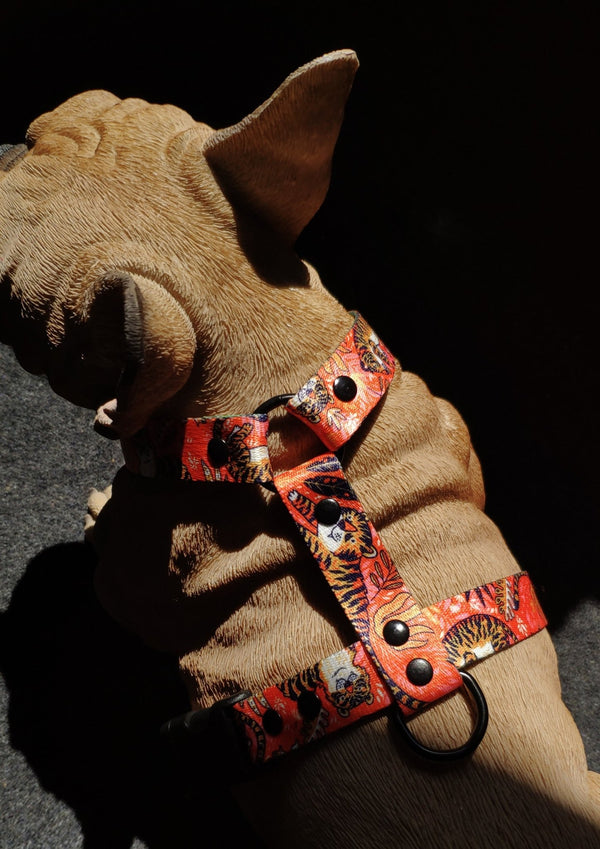 Orange Let's Get Wilder harness on a dog mannequin against a dark background