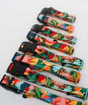 Loud and Proud DOG COLLAR - Mind The Fluff