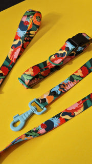 Loud and Proud DOG COLLAR - Mind The Fluff