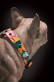 Loud and Proud DOG HARNESS - Mind The Fluff