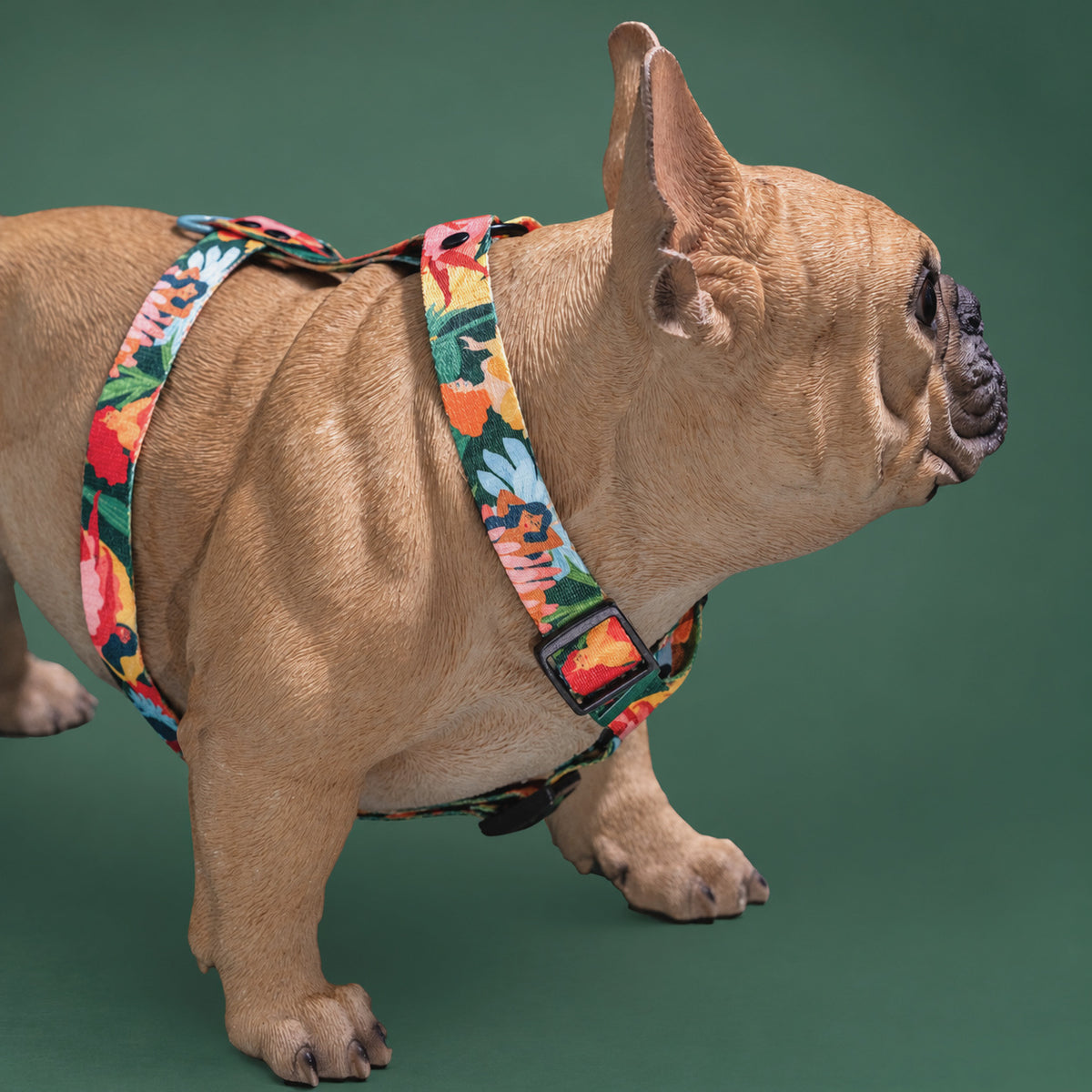 Loud and Proud Y-Shaped Dog Harness