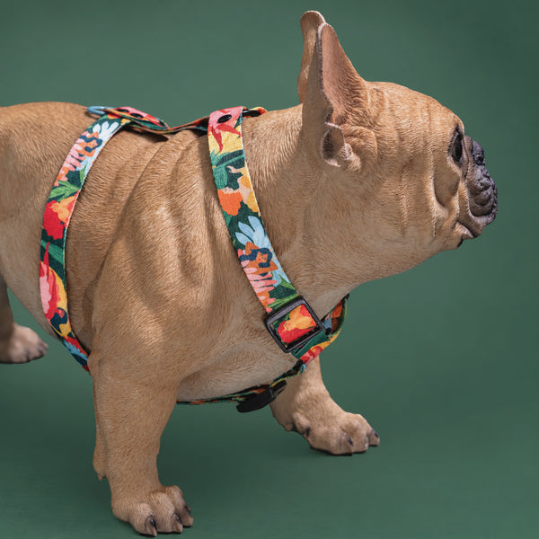 Loud and Proud floral dog harness on a French bulldog mannequin, side view