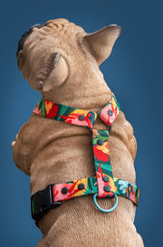 Loud and Proud DOG HARNESS - Mind The Fluff