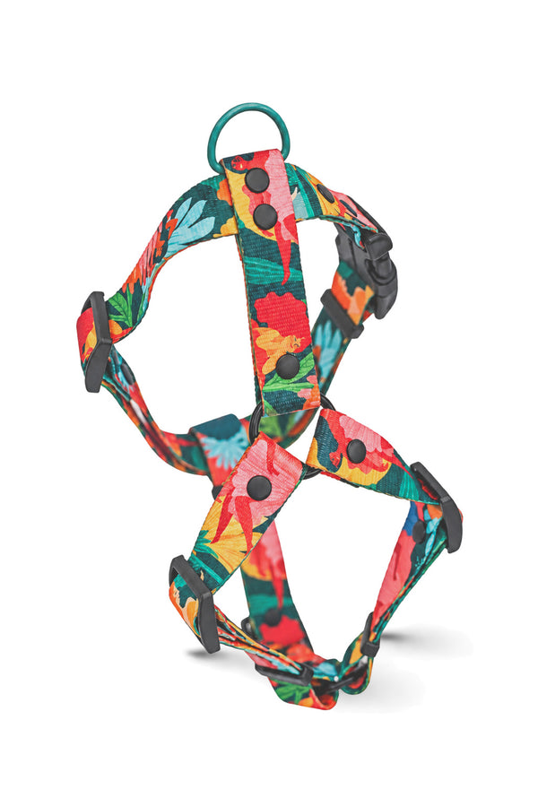 Loud and Proud dog harness with colourful flowers and a turquoise D-ring