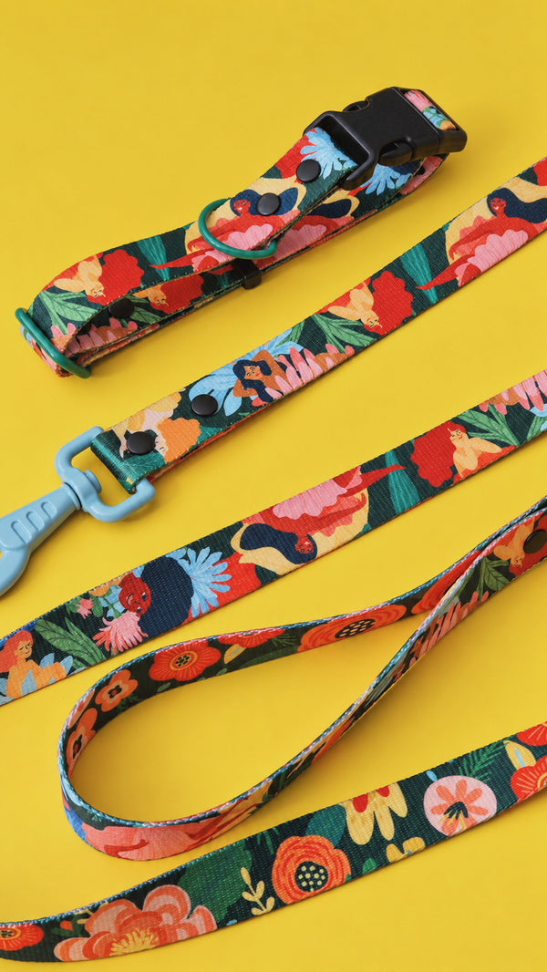 Loud and Proud floral dog collar and lead with blue clip on a yellow background