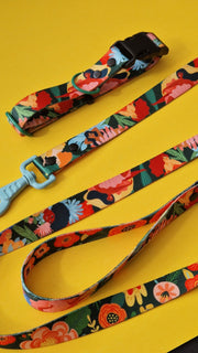 Loud and Proud DOG LEAD - Mind The Fluff