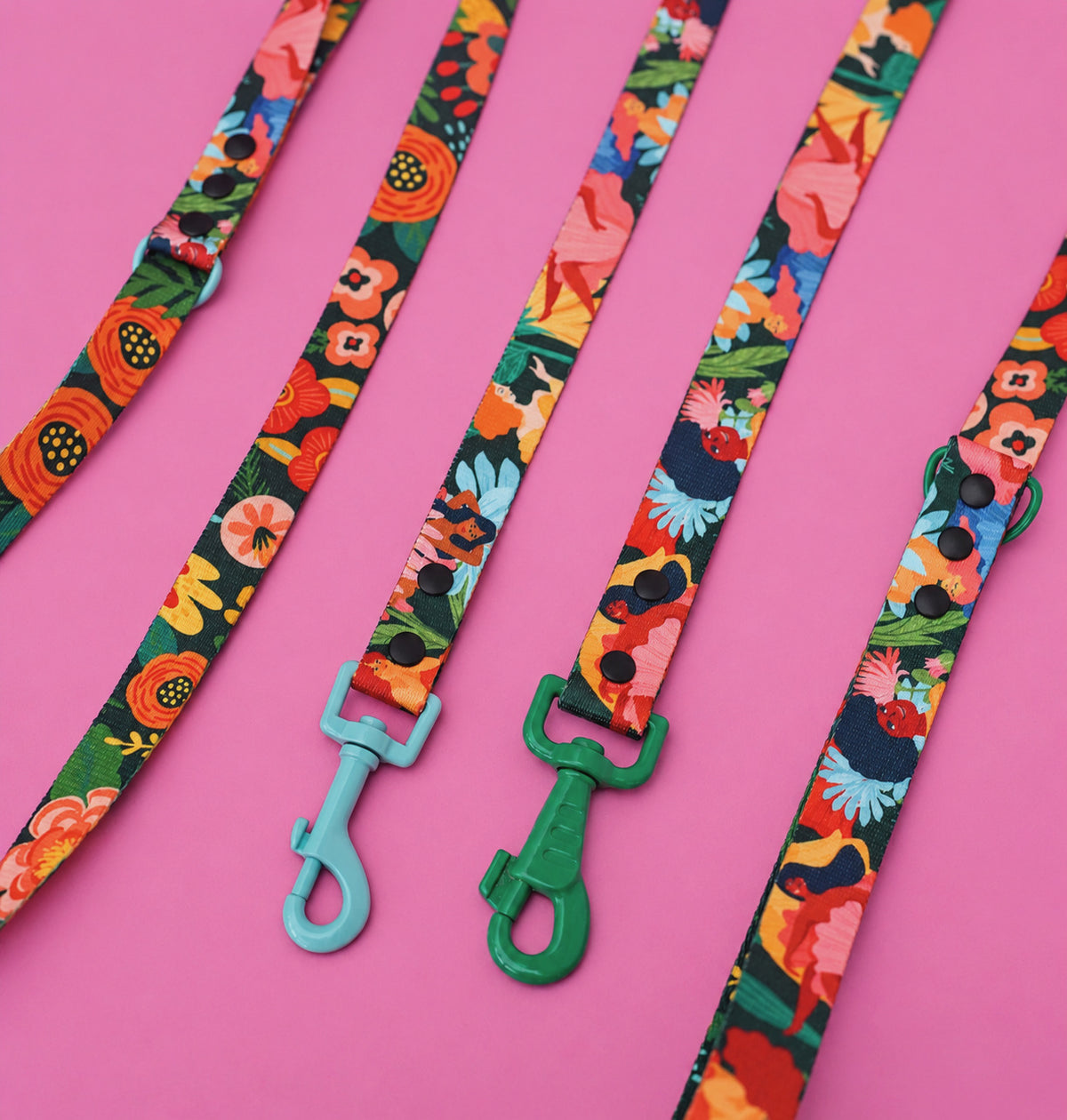 Loud and Proud Hands-Free Dog Lead