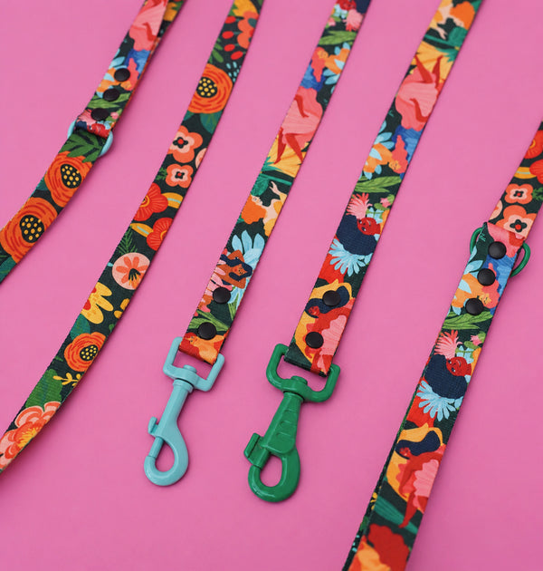 Loud and Proud floral dog leads with coloured clips arranged on a pink background