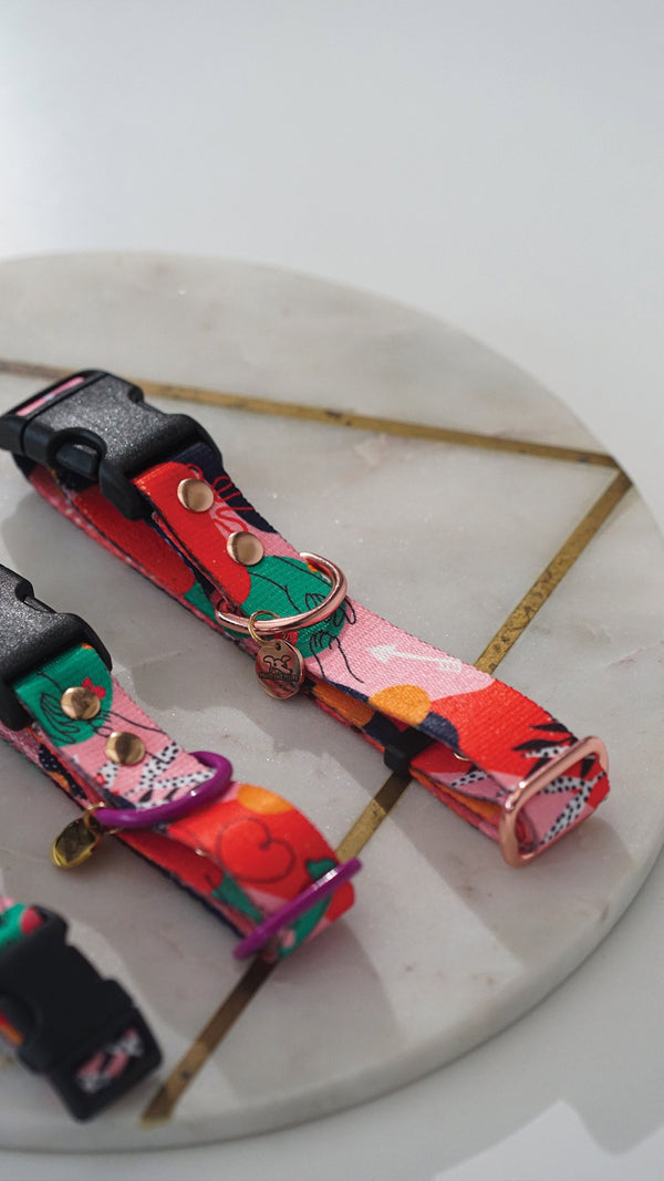 Love is a Four-Legged Word dog collars with red and turquoise dog-face print on a display board