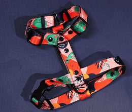 Love is a four - legged word ❤️ HARNESS - Mind The Fluff