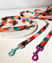 Love is a four - legged word ❤️ LEAD - Mind The Fluff