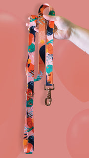 Love is a four - legged word ❤️ LEAD - Mind The Fluff