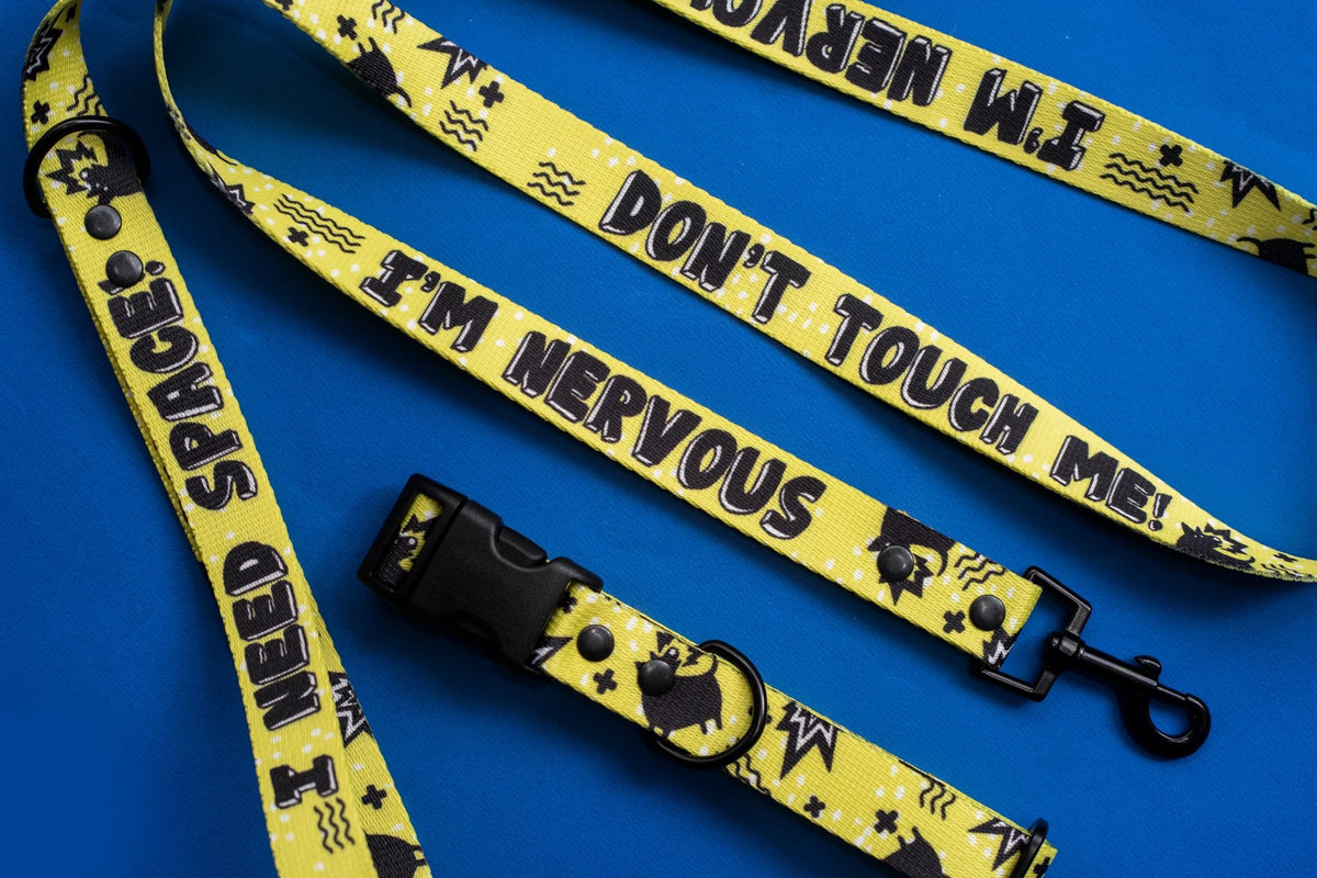 More Space Please! Hands-Free Dog Lead
