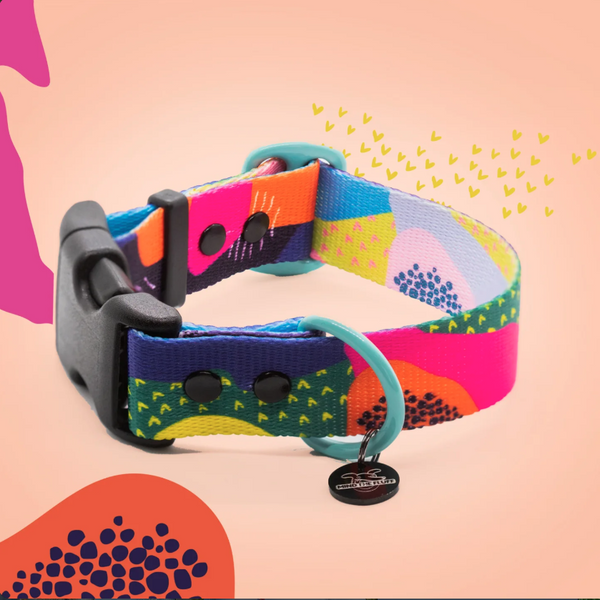 Colourful dog collar with pink, orange and blue panels, turquoise hardware and a black buckle