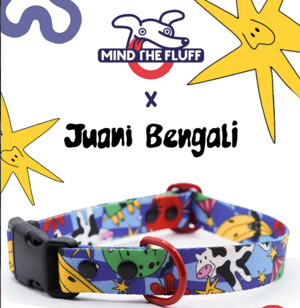 Blue Holy Cow dog collar with flying cows, red hardware and artwork by Juani Bengali