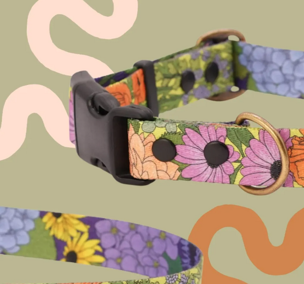Let It Grow floral dog collar with pink and purple flowers, a black buckle and brass-coloured D-ring