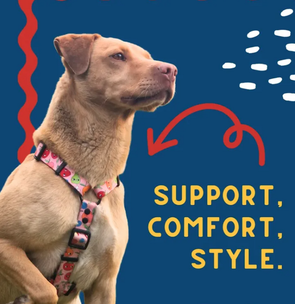 Brown dog wearing a pink Sweet Tooth Y-shaped dog harness with colourful smiling faces
